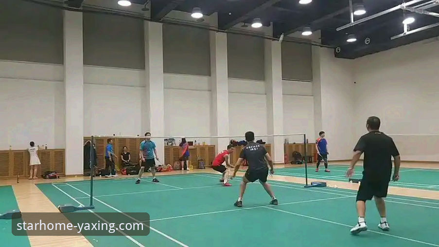 亚星稳定版下载 亚星体育平台稳定版下载与使用详解